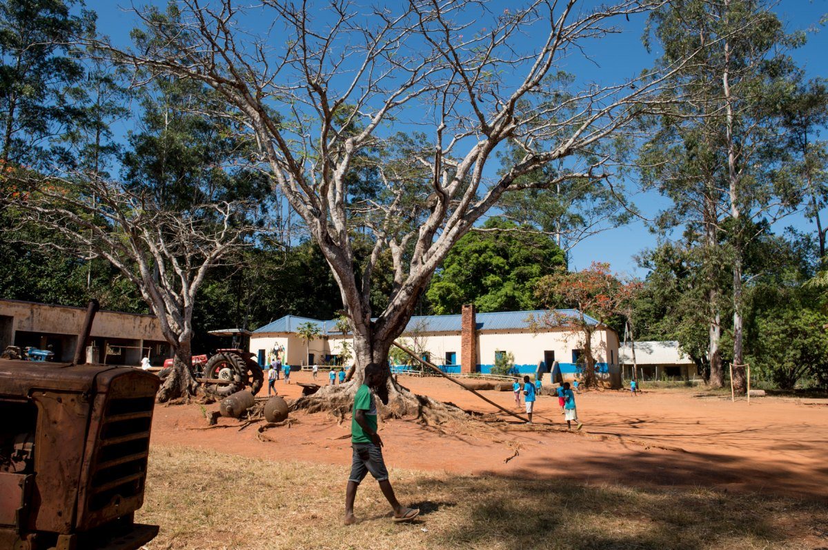 Image: Image for the entry: Primary school Quitila