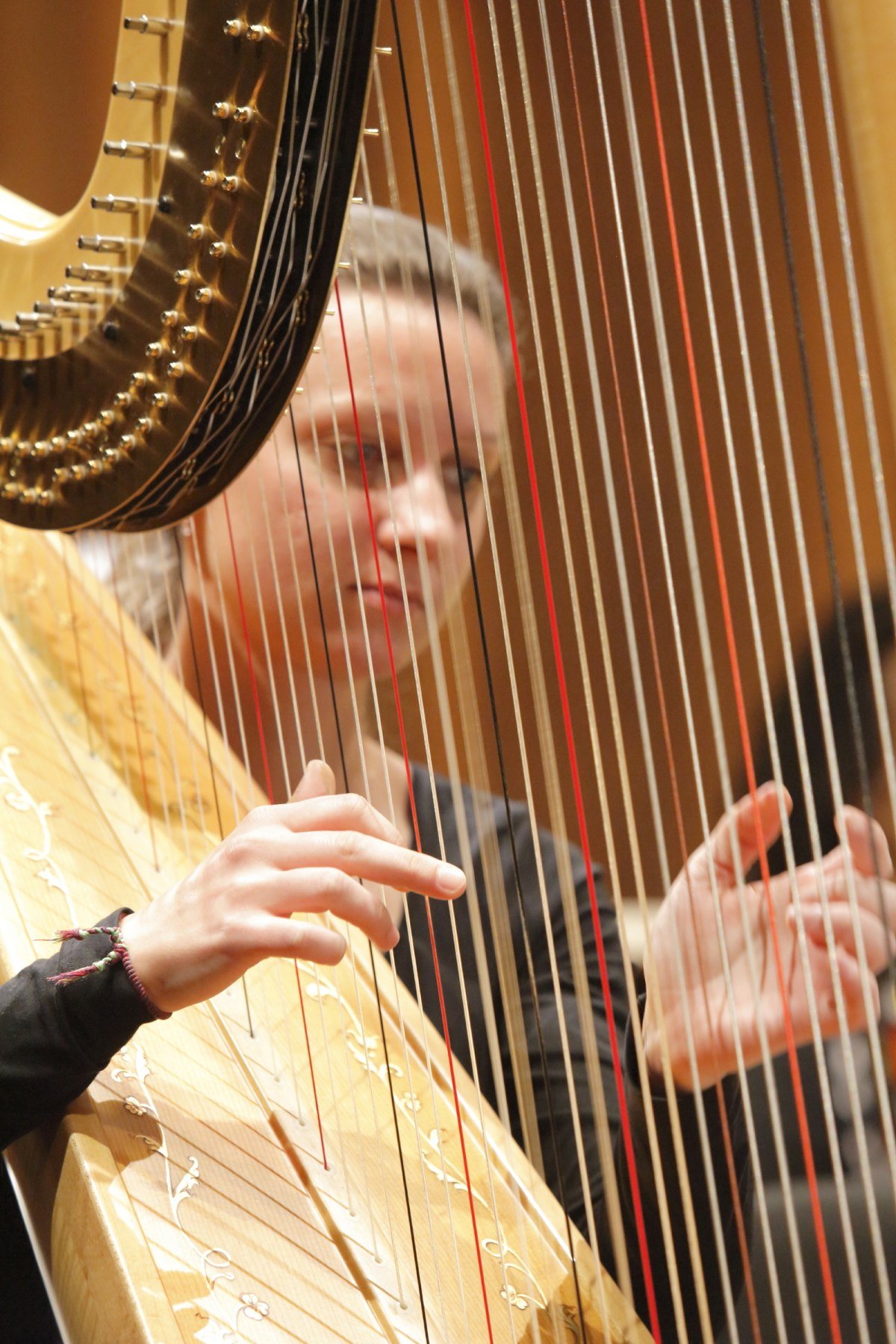 Image: Bild zum Eintrag: Afrikanische Lieder und Tänze füllten das Konzerthaus